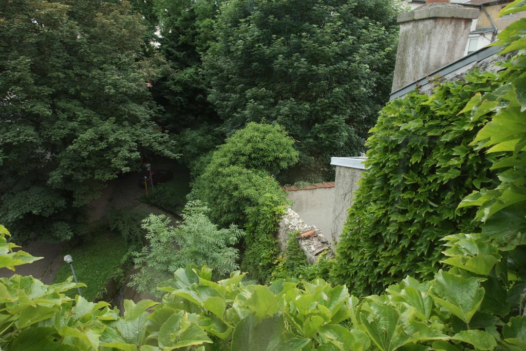 Les Suites De Catherine, La Si Calme Nancy Exteriör bild